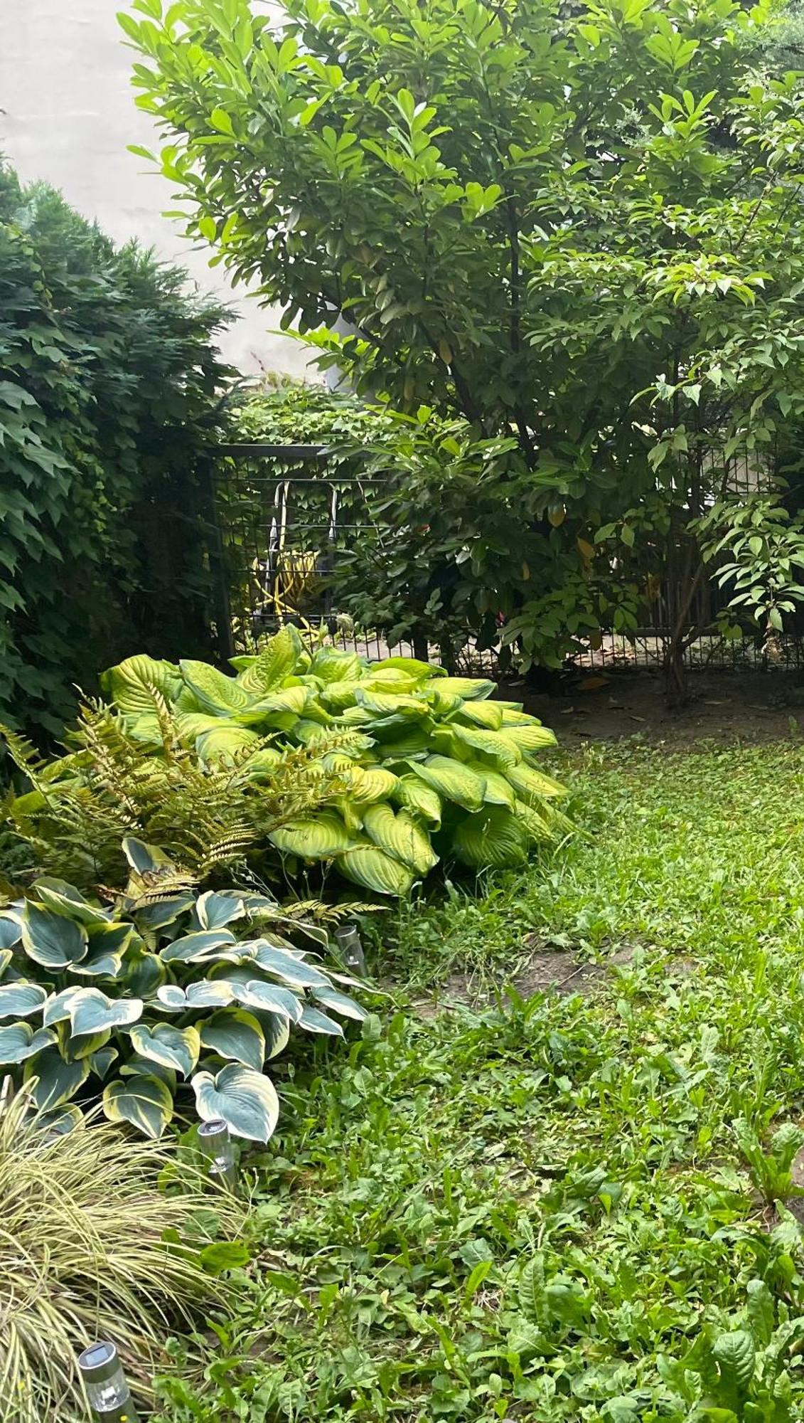 Apartment Mit Logia Und Kleinen Garten In Zentraler Lage 2 비엔나 외부 사진